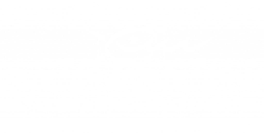 Skælskør Erhvervsforening